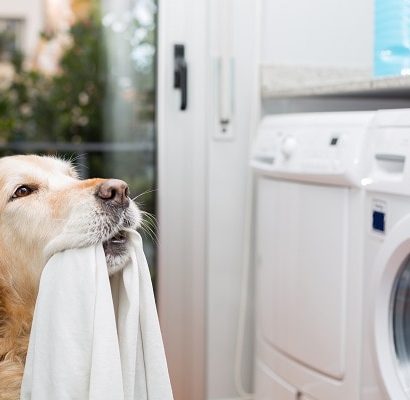 El pelo de mascotas puede dañar nuestras lavadoras