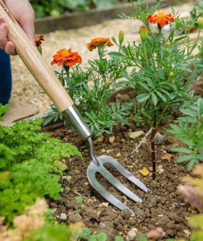 Hay un suministro enorme de herramientas para jardín, pero muy pocas de estas son necesarias. En este blog te guiamos por las más esenciales.