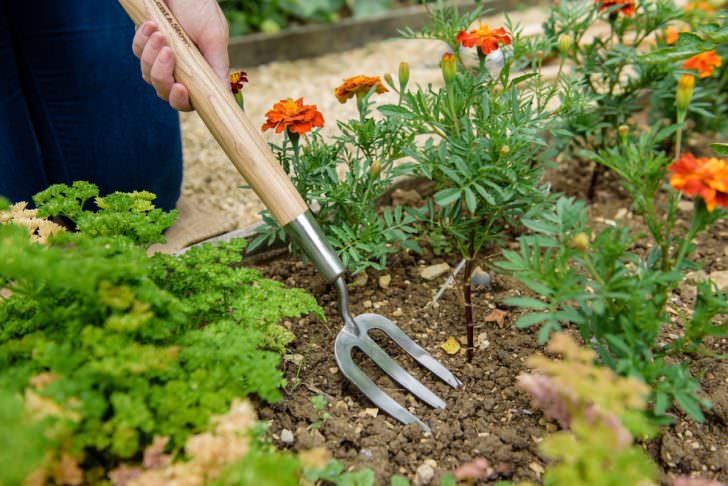 Hay un suministro enorme de herramientas para jardín, pero muy pocas de estas son necesarias. En este blog te guiamos por las más esenciales.
