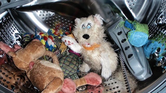 Debes lavar los juguetes de para perros