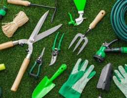 Herramientas de jardín Opciones para eliminar mala hierba