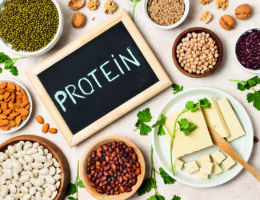 proteina vegetal