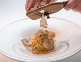 alimentos exclusivos