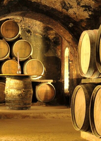 barricas de vino
